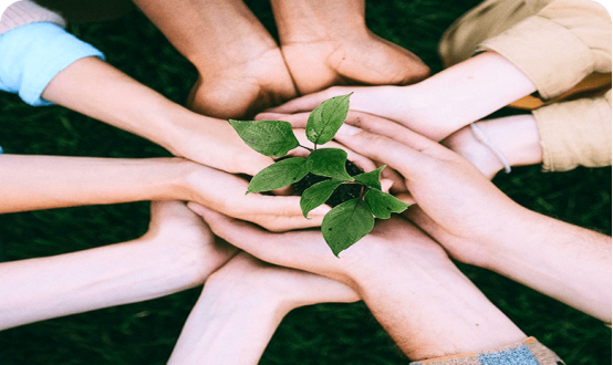 资源与成本最优化配置